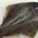 カレイの煮付・唐揚げに使える！5枚おろしの簡単4ステップ